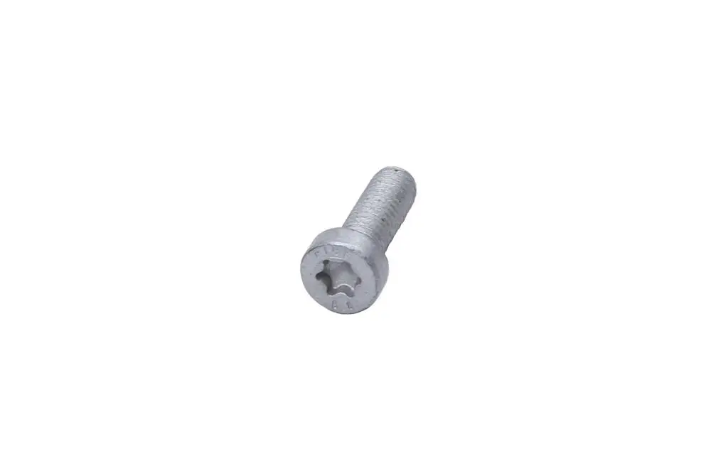 11096061  Tornillo Torx M6 X 18 Tapa De