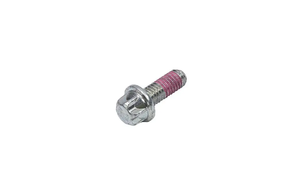 11103651  Tornillo Tapa Correa Tras