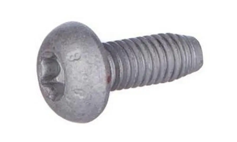11570646  Tornillo