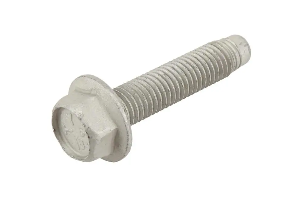 11589276  Tornillo