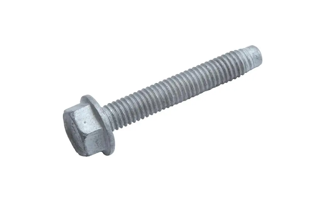 11589303  Tornillo