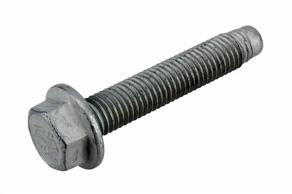 11589356  Tornillo