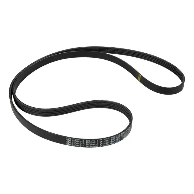 Correa de accesorios para Spin