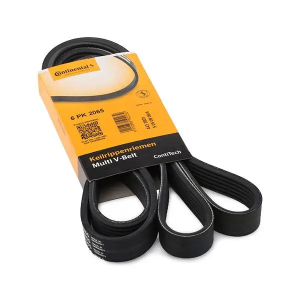Correa de accesorios para Captiva